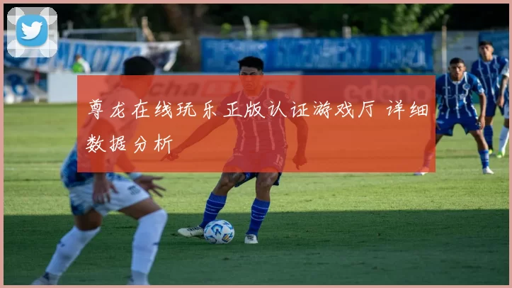 尊龙在线玩乐正版认证游戏厅 详细数据分析