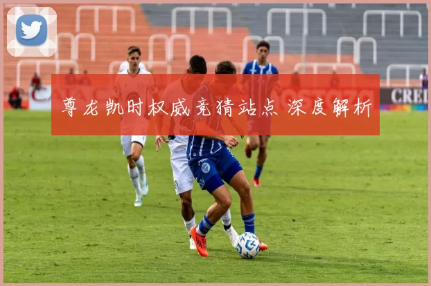 尊龙凯时权威竞猜站点 深度解析