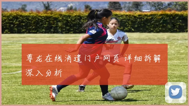 尊龙在线消遣门户网页 详细拆解 深入分析