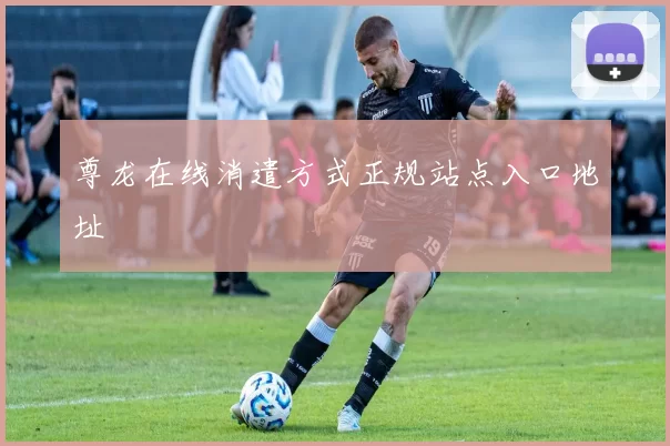 尊龙在线消遣方式正规站点入口地址
