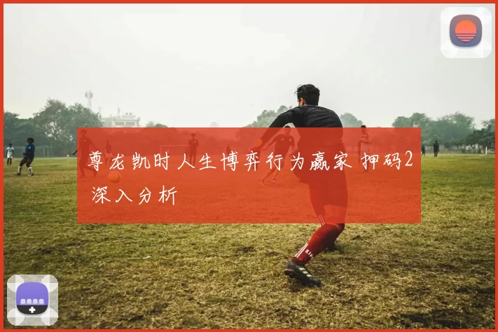 尊龙凯时人生博弈行为赢家 押码2 深入分析