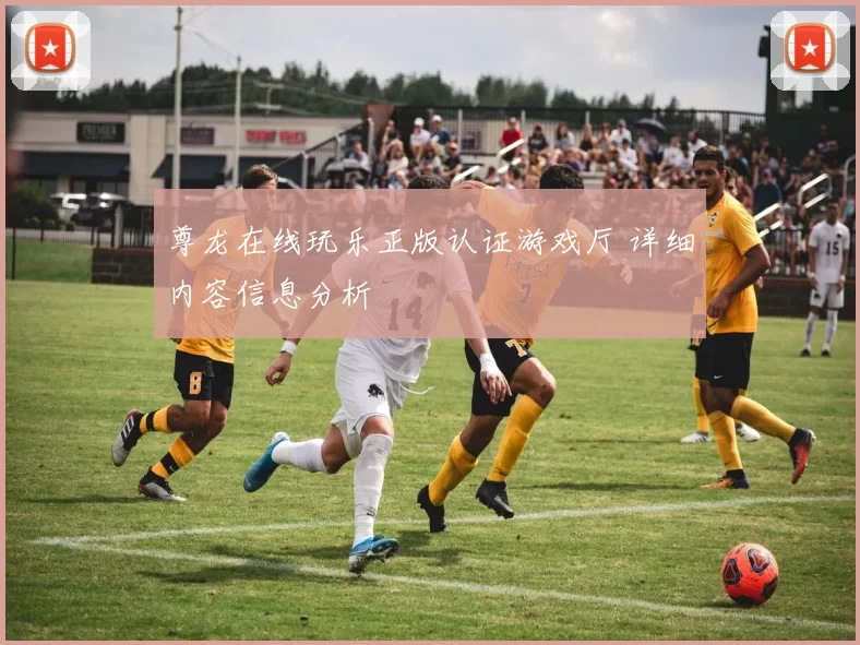 尊龙在线玩乐正版认证游戏厅 详细内容信息分析