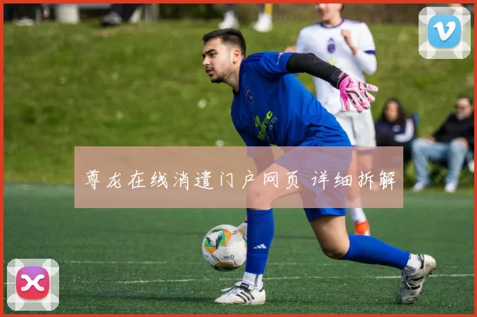 尊龙在线消遣门户网页 详细拆解