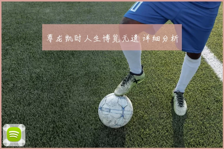 尊龙凯时人生博览无遗 详细分析