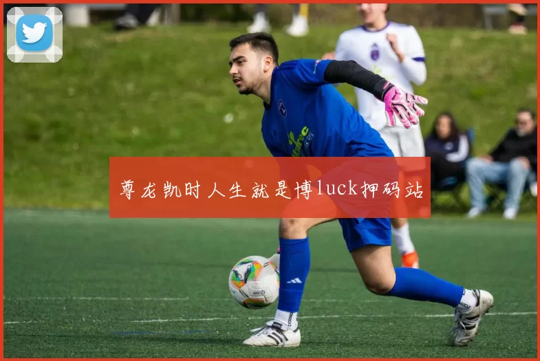 尊龙凯时人生就是博luck押码站