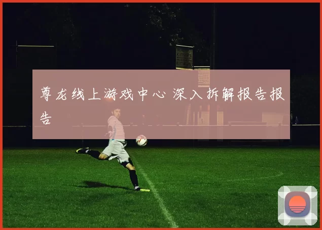尊龙线上游戏中心 深入拆解报告报告