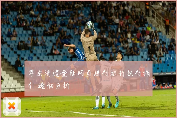 尊龙消遣登陆网页进行进行执行指引 透彻分析