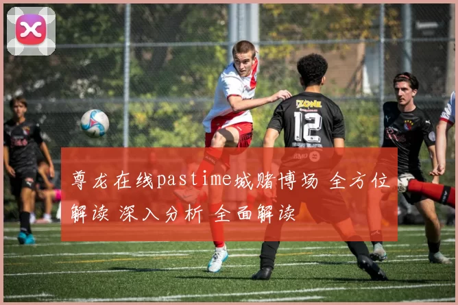 尊龙在线pastime城赌博场 全方位解读 深入分析 全面解读