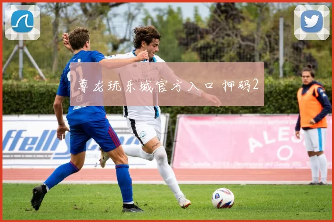 尊龙玩乐城官方入口 押码2