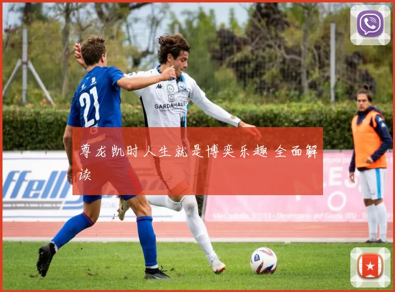 尊龙凯时人生就是博奕乐趣 全面解读