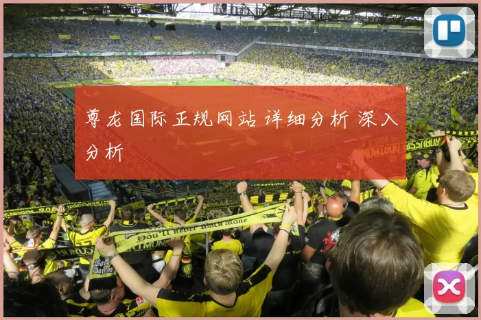 尊龙国际正规网站 详细分析 深入分析