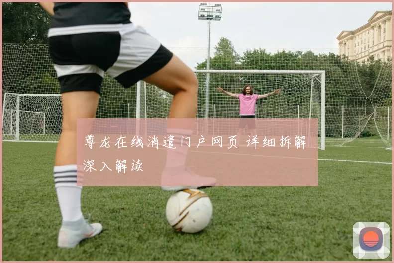 尊龙在线消遣门户网页 详细拆解 深入解读