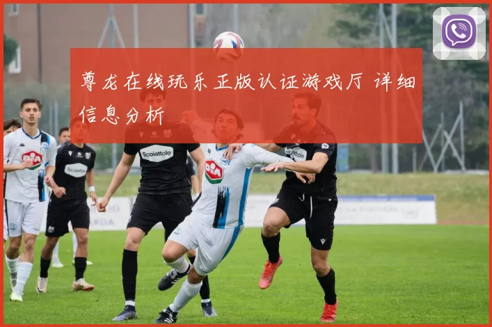 尊龙在线玩乐正版认证游戏厅 详细信息分析