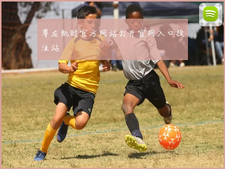 尊龙凯时官方网站打开官网入口投注站