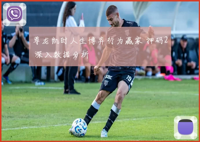 尊龙凯时人生博弈行为赢家 押码2 深入数据分析