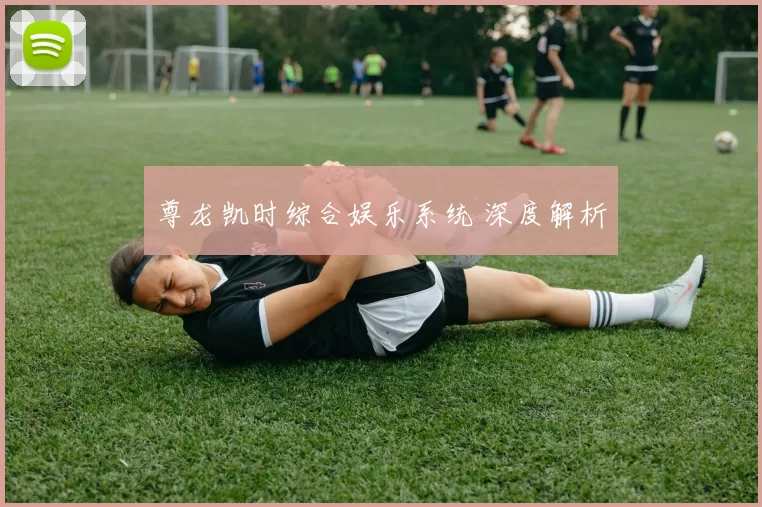 尊龙凯时综合娱乐系统 深度解析