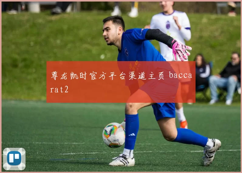 尊龙凯时官方平台渠道主页 baccarat2