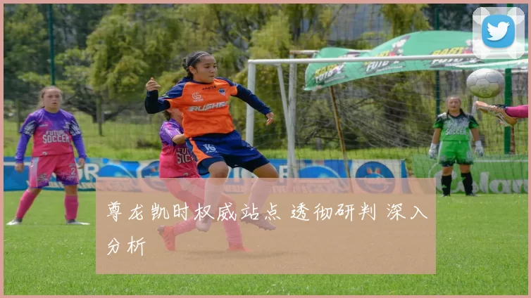 尊龙凯时权威站点 透彻研判 深入分析