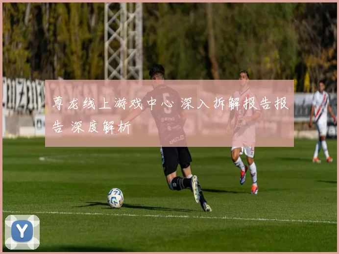 尊龙线上游戏中心 深入拆解报告报告 深度解析