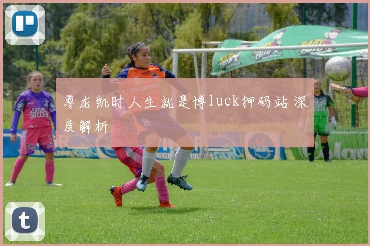 尊龙凯时人生就是博luck押码站 深度解析