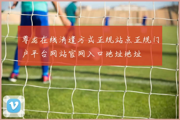 尊龙在线消遣方式正规站点正规门户平台网站官网入口地址地址