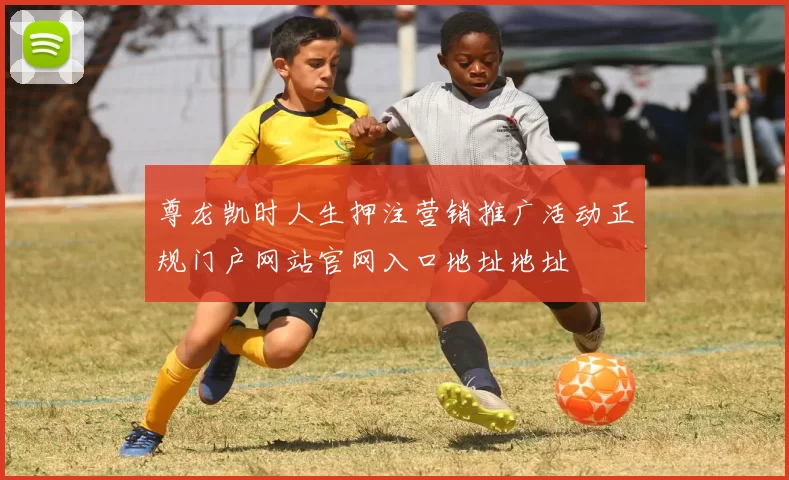 尊龙凯时人生押注营销推广活动正规门户网站官网入口地址地址