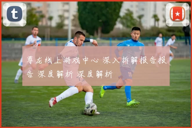 尊龙线上游戏中心 深入拆解报告报告 深度解析 深度解析