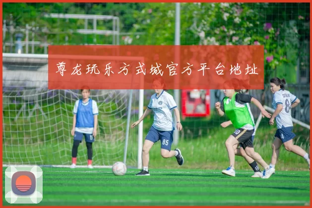 尊龙玩乐方式城官方平台地址