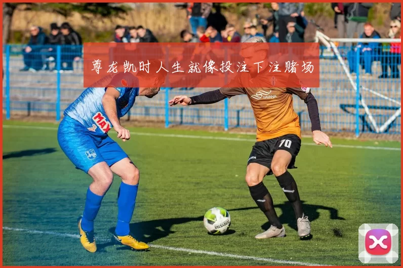 尊龙凯时人生就像投注下注赌场