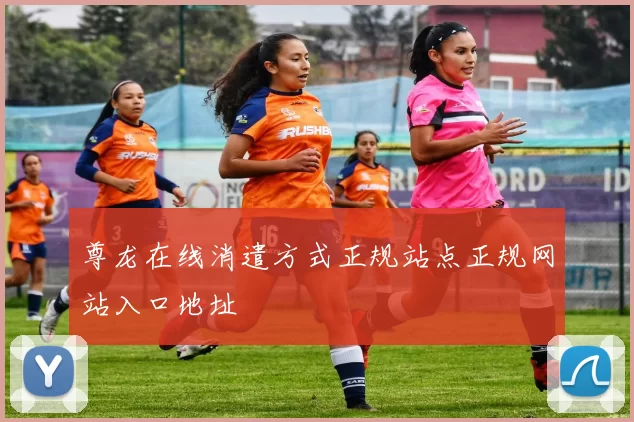 尊龙在线消遣方式正规站点正规网站入口地址