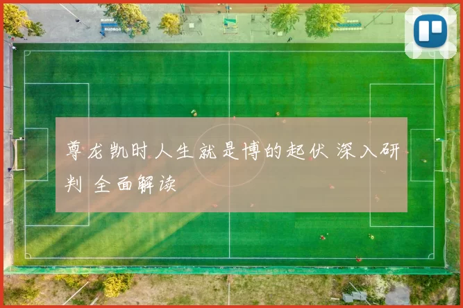 尊龙凯时人生就是博的起伏 深入研判 全面解读